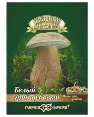 Купить Белый гриб Дубовый на зерновом субстрате 5 шт. в Липецке недорого