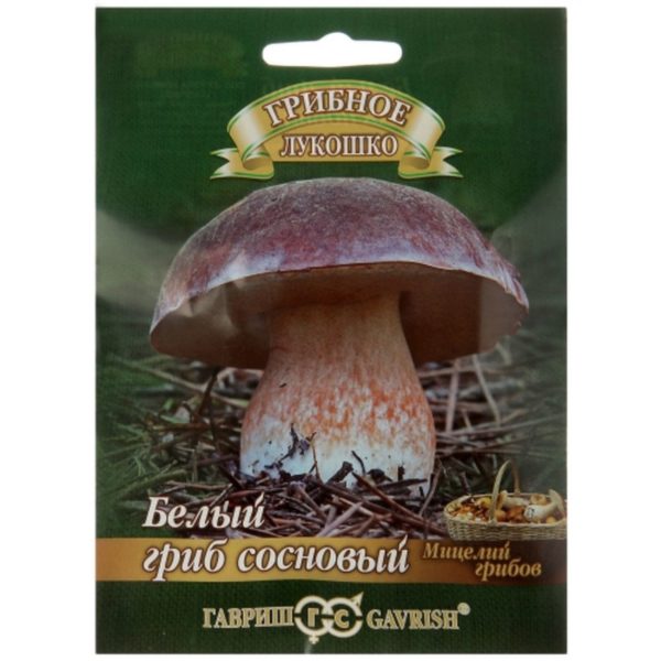 Купить грибы Белый гриб Сосновый на зерновом субстрате 5шт. в Липецке недорого