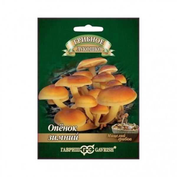 Купить грибы Опенок зимний на древесной палочке 5шт. в Липецке недорого